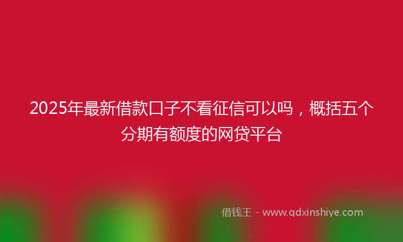 2025年最新借款口子不看征信可以吗，概括五个分期有额度的网贷平台