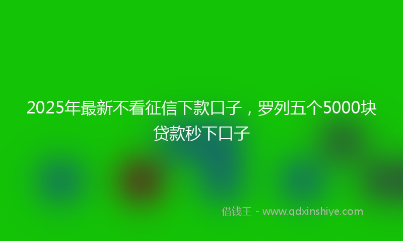 2025年最新不看征信下款口子，罗列五个5000块贷款秒下口子