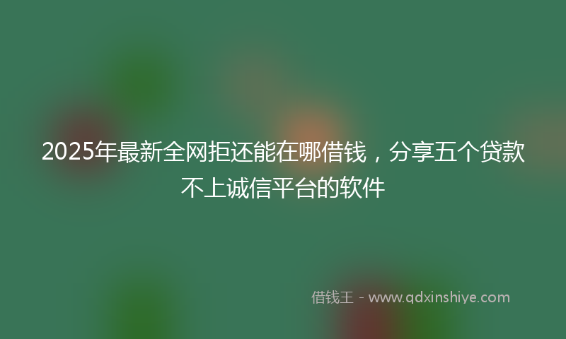 2025年最新全网拒还能在哪借钱，分享五个贷款不上诚信平台的软件