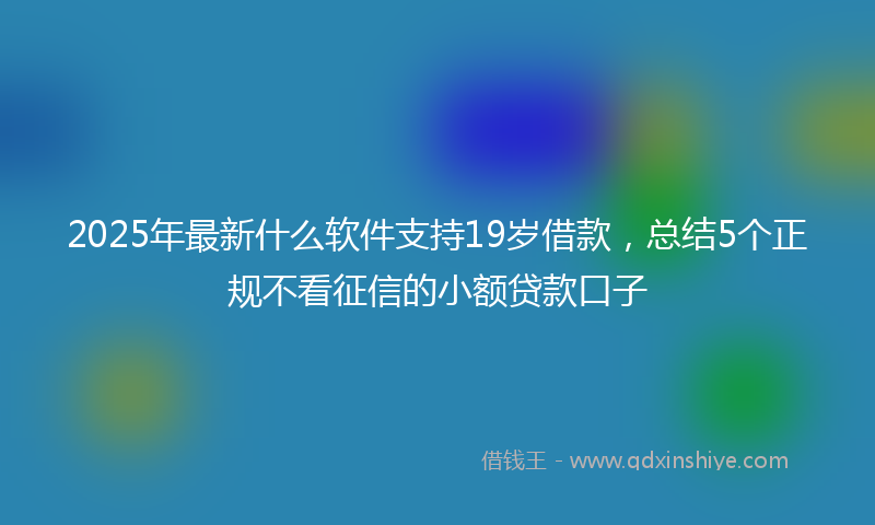 2025年最新什么软件支持19岁借款，总结5个正规不看征信的小额贷款口子