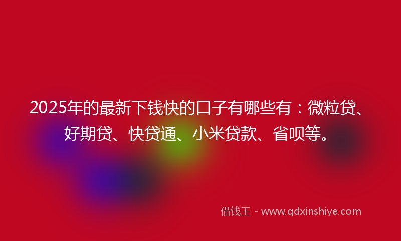 2025年的最新下钱快的口子有哪些有：微粒贷、好期贷、快贷通、小米贷款、省呗等。