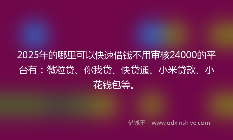 2025年的哪里可以快速借钱不用审核24000的平台有：微粒贷、你我贷、快贷通、小米贷款、小花钱包等。