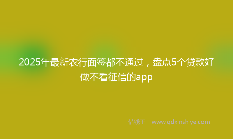 2025年最新农行面签都不通过，盘点5个贷款好做不看征信的app