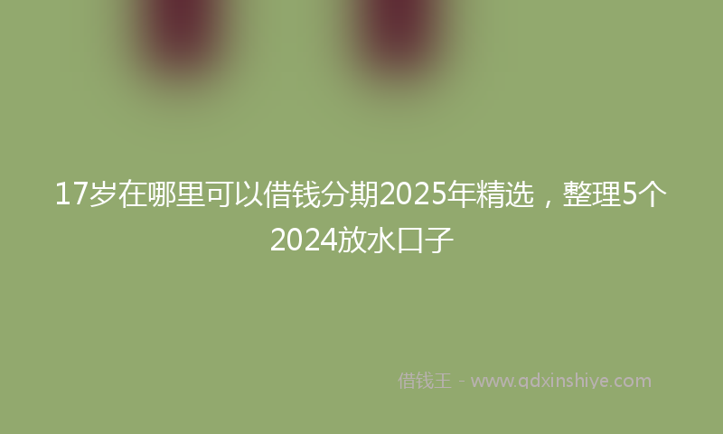 17岁在哪里可以借钱分期2025年精选，整理5个2024放水口子