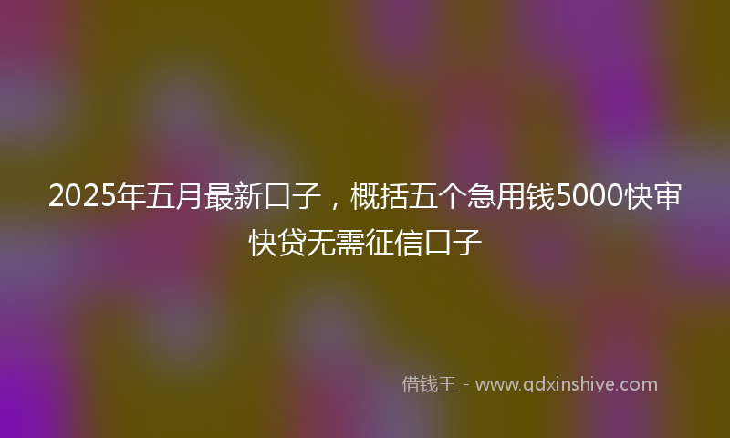 2025年五月最新口子，概括五个急用钱5000快审快贷无需征信口子