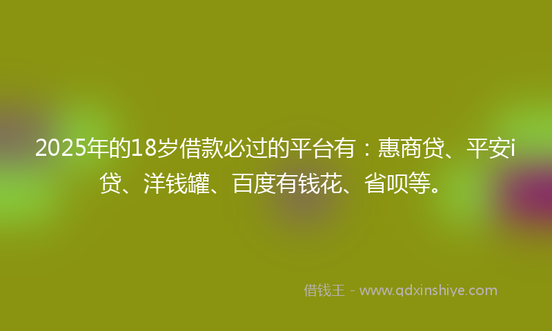 2025年的18岁借款必过的平台有：惠商贷、平安i贷、洋钱罐、百度有钱花、省呗等。
