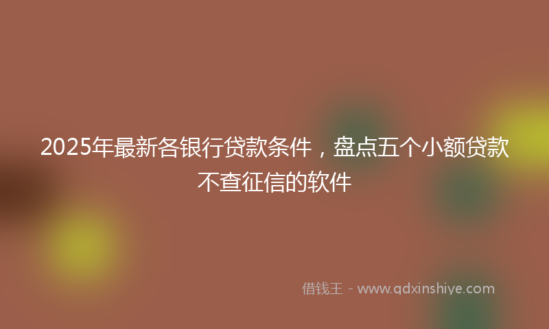 2025年最新各银行贷款条件，盘点五个小额贷款不查征信的软件