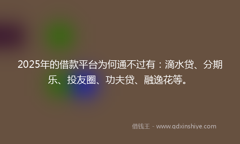 2025年的借款平台为何通不过有：滴水贷、分期乐、投友圈、功夫贷、融逸花等。