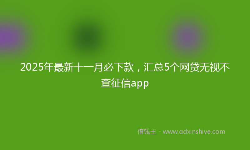 2025年最新十一月必下款，汇总5个网贷无视不查征信app