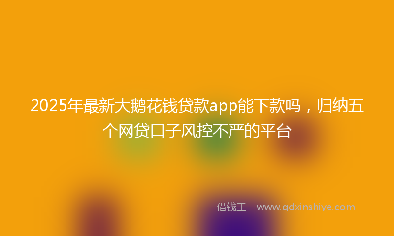 2025年最新大鹅花钱贷款app能下款吗，归纳五个网贷口子风控不严的平台