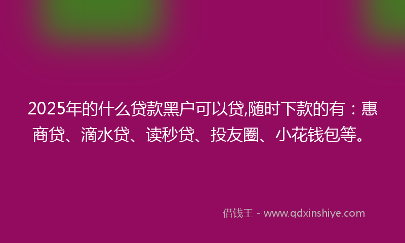 2025年的什么贷款黑户可以贷,随时下款的有：惠商贷、滴水贷、读秒贷、投友圈、小花钱包等。