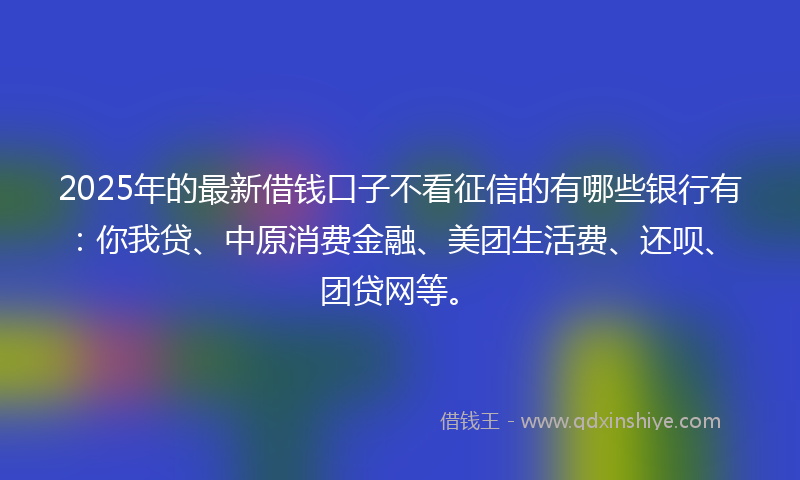 2025年的最新借钱口子不看征信的有哪些银行有：你我贷、中原消费金融、美团生活费、还呗、团贷网等。