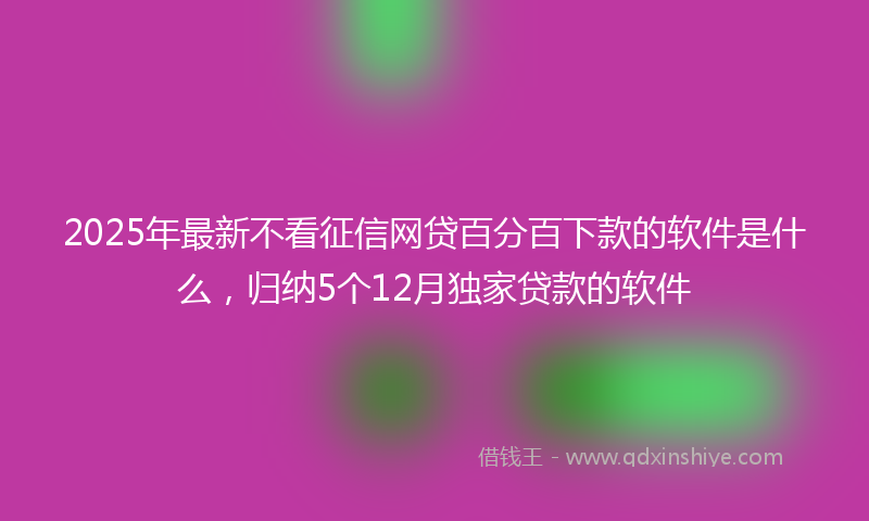 2025年最新不看征信网贷百分百下款的软件是什么，归纳5个12月独家贷款的软件