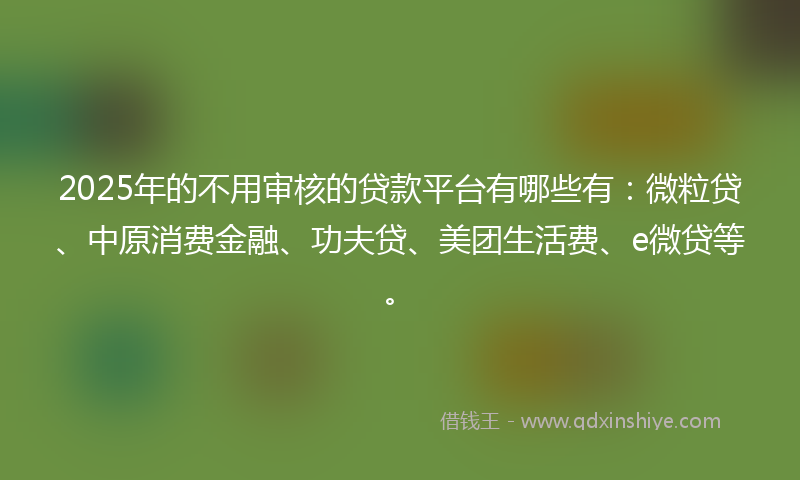 2025年的不用审核的贷款平台有哪些有：微粒贷、中原消费金融、功夫贷、美团生活费、e微贷等。