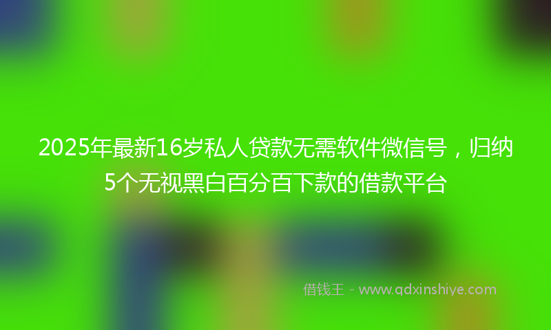 2025年最新16岁私人贷款无需软件微信号，归纳5个无视黑白百分百下款的借款平台
