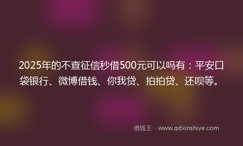 2025年的不查征信秒借500元可以吗有：平安口袋银行、微博借钱、你我贷、拍拍贷、还呗等。