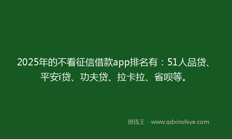 2025年的不看征信借款app排名有：51人品贷、平安i贷、功夫贷、拉卡拉、省呗等。