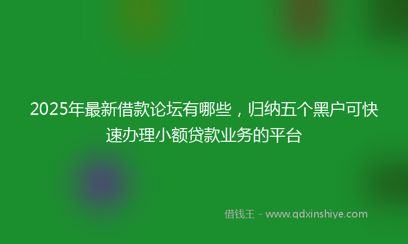 2025年最新借款论坛有哪些，归纳五个黑户可快速办理小额贷款业务的平台