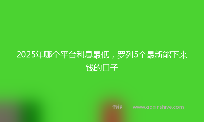 2025年哪个平台利息最低，罗列5个最新能下来钱的口子