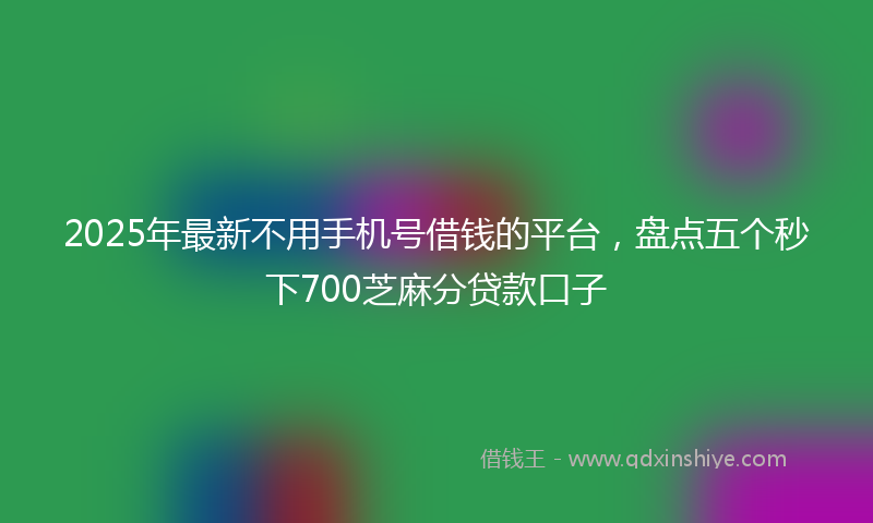 2025年最新不用手机号借钱的平台，盘点五个秒下700芝麻分贷款口子