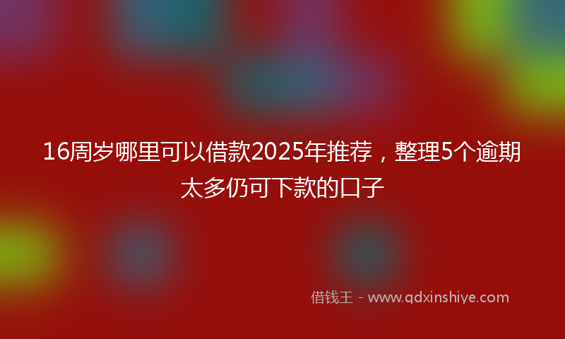 16周岁哪里可以借款2025年推荐，整理5个逾期太多仍可下款的口子