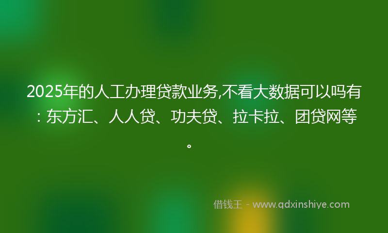 2025年的人工办理贷款业务,不看大数据可以吗有：东方汇、人人贷、功夫贷、拉卡拉、团贷网等。