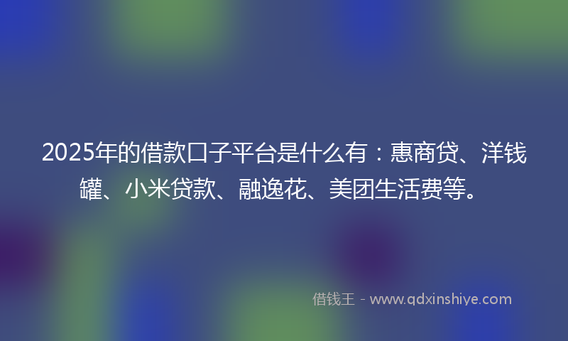 2025年的借款口子平台是什么有：惠商贷、洋钱罐、小米贷款、融逸花、美团生活费等。
