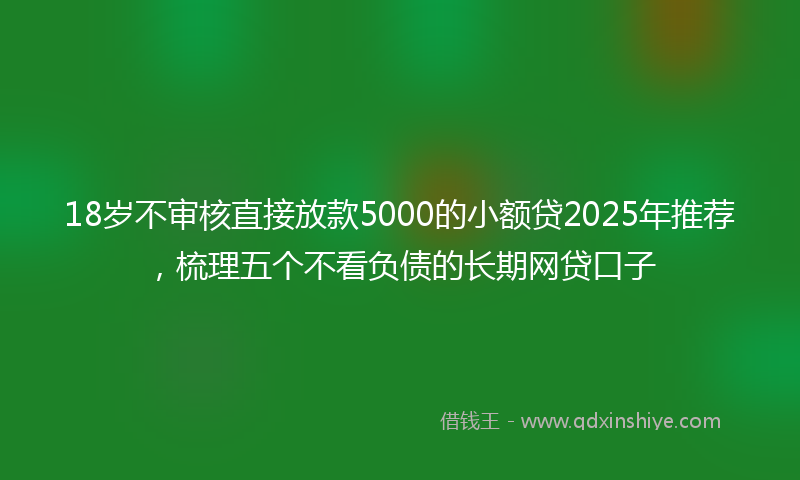 18岁不审核直接放款5000的小额贷2025年推荐，梳理五个不看负债的长期网贷口子