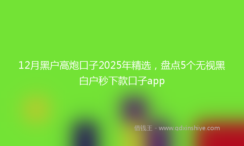 12月黑户高炮口子2025年精选，盘点5个无视黑白户秒下款口子app