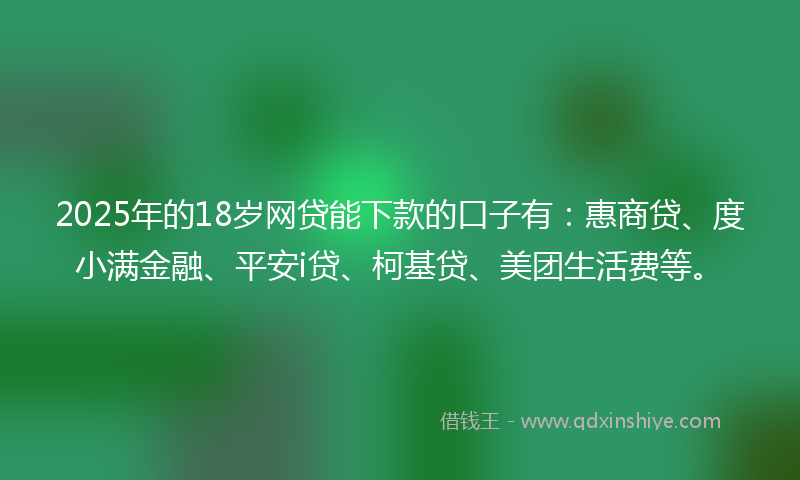2025年的18岁网贷能下款的口子有：惠商贷、度小满金融、平安i贷、柯基贷、美团生活费等。