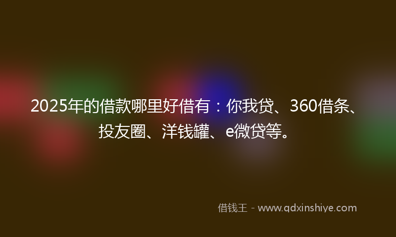 2025年的借款哪里好借有：你我贷、360借条、投友圈、洋钱罐、e微贷等。