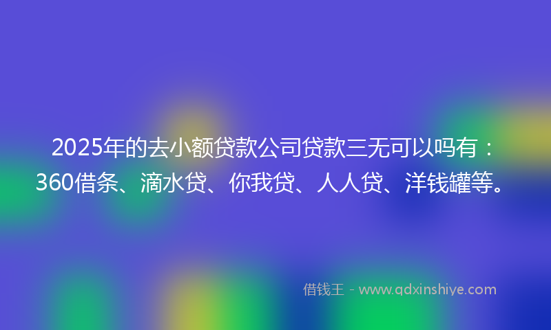2025年的去小额贷款公司贷款三无可以吗有：360借条、滴水贷、你我贷、人人贷、洋钱罐等。