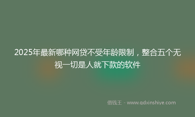 2025年最新哪种网贷不受年龄限制，整合五个无视一切是人就下款的软件