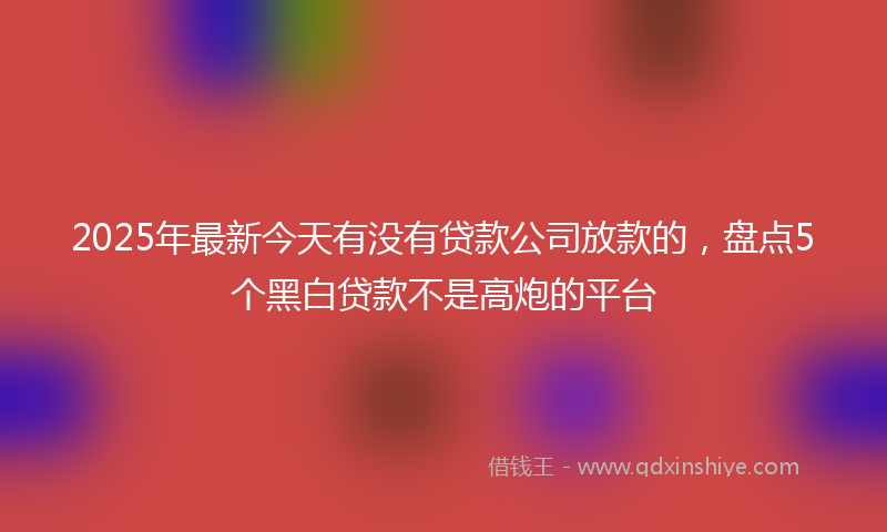 2025年最新今天有没有贷款公司放款的，盘点5个黑白贷款不是高炮的平台