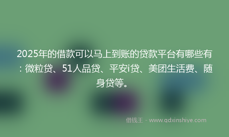 2025年的借款可以马上到账的贷款平台有哪些有：微粒贷、51人品贷、平安i贷、美团生活费、随身贷等。