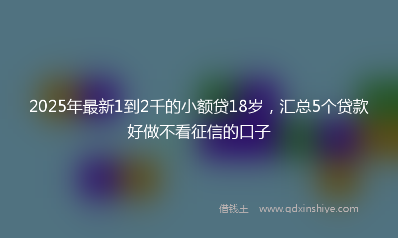 2025年最新1到2千的小额贷18岁，汇总5个贷款好做不看征信的口子