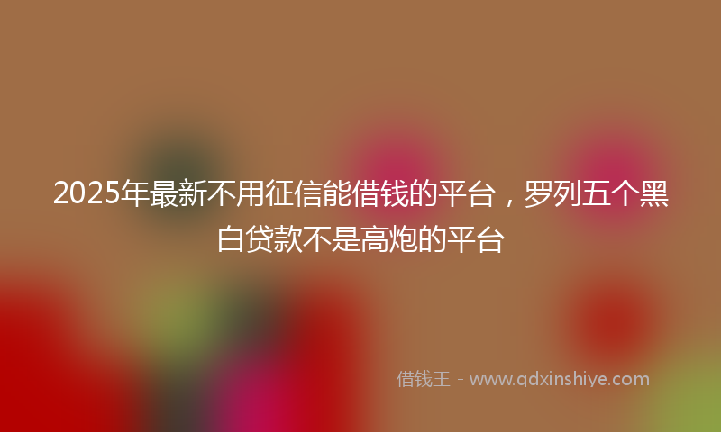 2025年最新不用征信能借钱的平台，罗列五个黑白贷款不是高炮的平台