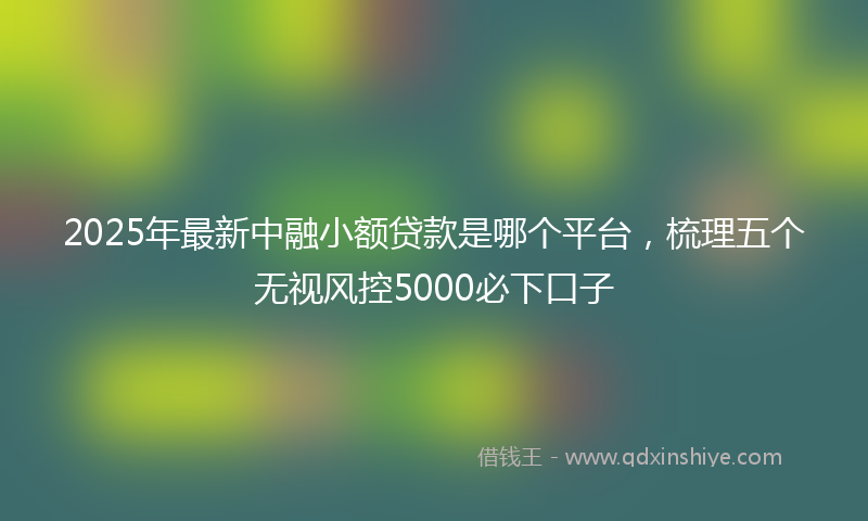 2025年最新中融小额贷款是哪个平台，梳理五个无视风控5000必下口子
