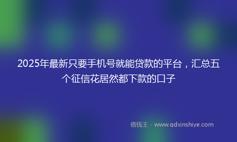 2025年最新只要手机号就能贷款的平台，汇总五个征信花居然都下款的口子