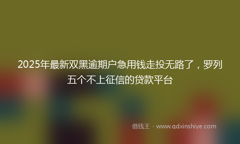 2025年最新双黑逾期户急用钱走投无路了，罗列五个不上征信的贷款平台