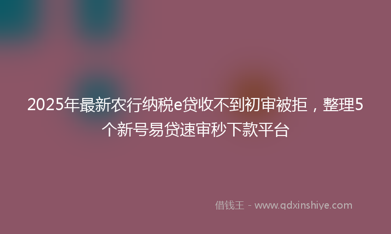2025年最新农行纳税e贷收不到初审被拒，整理5个新号易贷速审秒下款平台