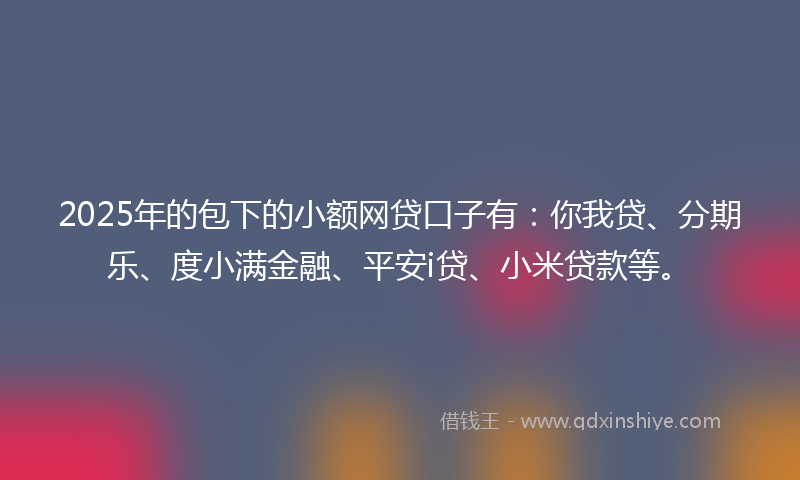 2025年的包下的小额网贷口子有：你我贷、分期乐、度小满金融、平安i贷、小米贷款等。