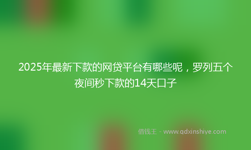 2025年最新下款的网贷平台有哪些呢，罗列五个夜间秒下款的14天口子