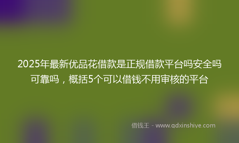2025年最新优品花借款是正规借款平台吗安全吗可靠吗，概括5个可以借钱不用审核的平台
