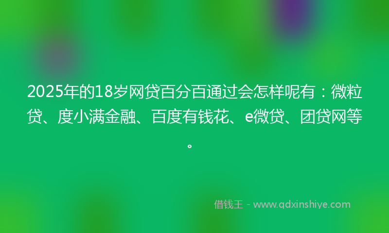 2025年的18岁网贷百分百通过会怎样呢有：微粒贷、度小满金融、百度有钱花、e微贷、团贷网等。