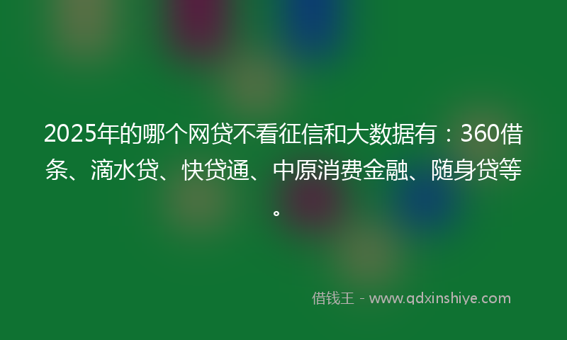 2025年的哪个网贷不看征信和大数据有：360借条、滴水贷、快贷通、中原消费金融、随身贷等。