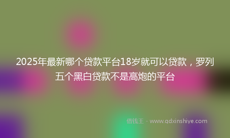 2025年最新哪个贷款平台18岁就可以贷款，罗列五个黑白贷款不是高炮的平台