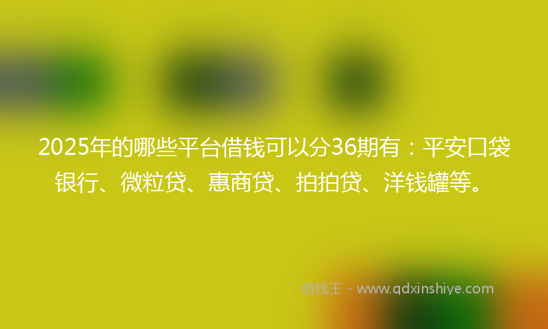 2025年的哪些平台借钱可以分36期有：平安口袋银行、微粒贷、惠商贷、拍拍贷、洋钱罐等。