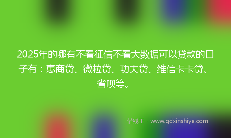 2025年的哪有不看征信不看大数据可以贷款的口子有：惠商贷、微粒贷、功夫贷、维信卡卡贷、省呗等。