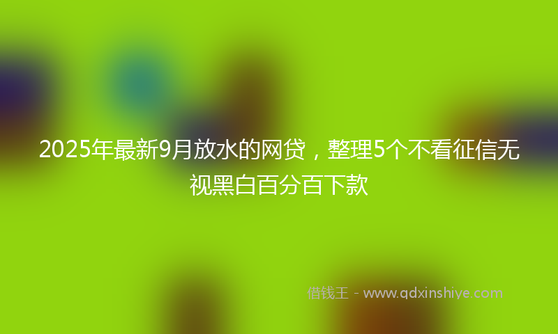 2025年最新9月放水的网贷，整理5个不看征信无视黑白百分百下款